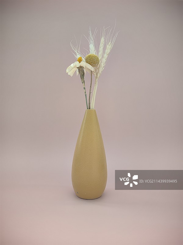 静物花瓶图片素材