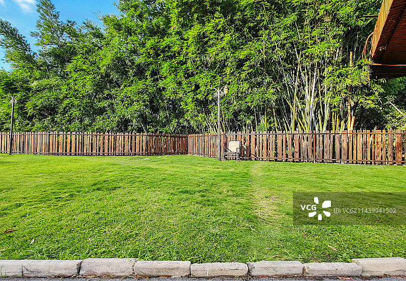 公园里的草地与茂密的竹林背景图片素材