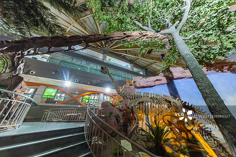 恐龙化石 古生物骨骼化石标本 史前巨兽 河南自然博物馆 科普型自然类博物馆 地球科学展览馆图片素材