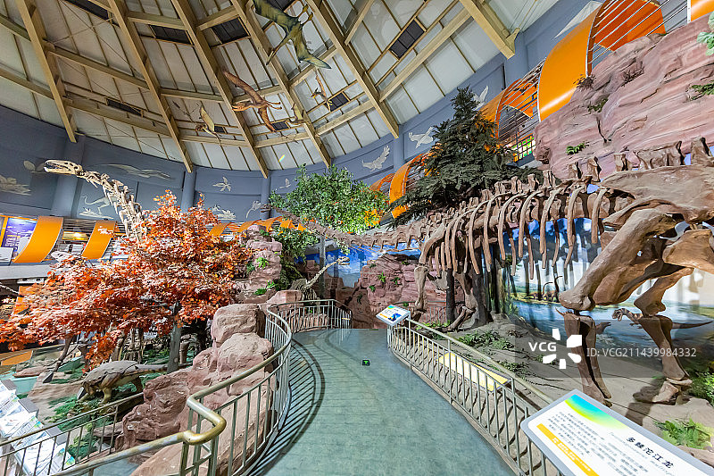 恐龙化石 古生物骨骼化石标本 史前巨兽 河南自然博物馆 科普型自然类博物馆 地球科学展览馆图片素材