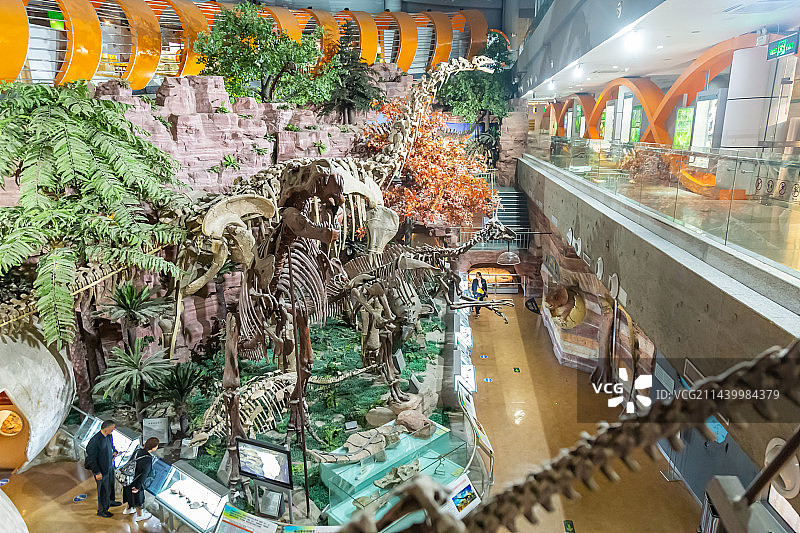 恐龙化石 古生物骨骼化石标本 史前巨兽 河南自然博物馆 科普型自然类博物馆 地球科学展览馆图片素材