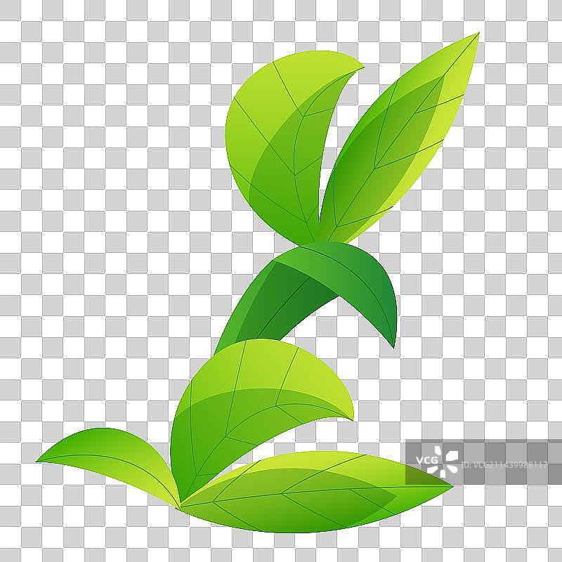 绿色茶叶矢量渐变插画元素图片素材