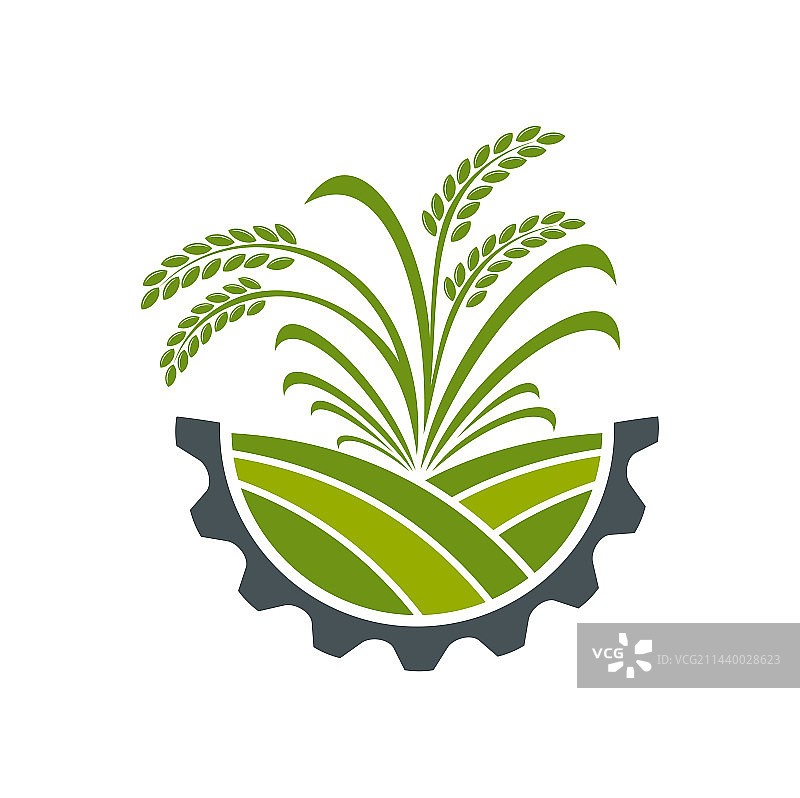 农业图标：麦穗或黑麦图片素材