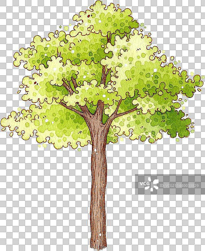 绿色植物树手绘水彩免抠元素图片素材