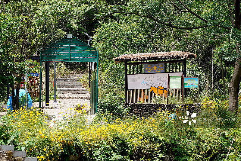 杭州市桐庐县富春江镇芦茨村图片素材