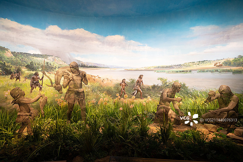 博物馆头骨化石图片素材