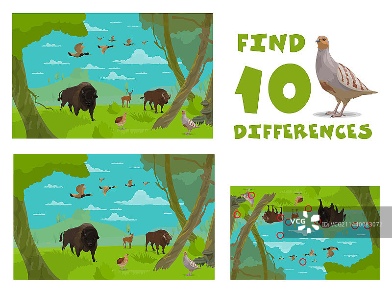 找出卡通野生动物的十处不同图片素材