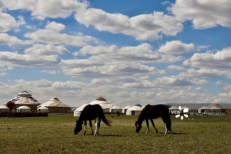 巴尔虎牧人部落图片素材