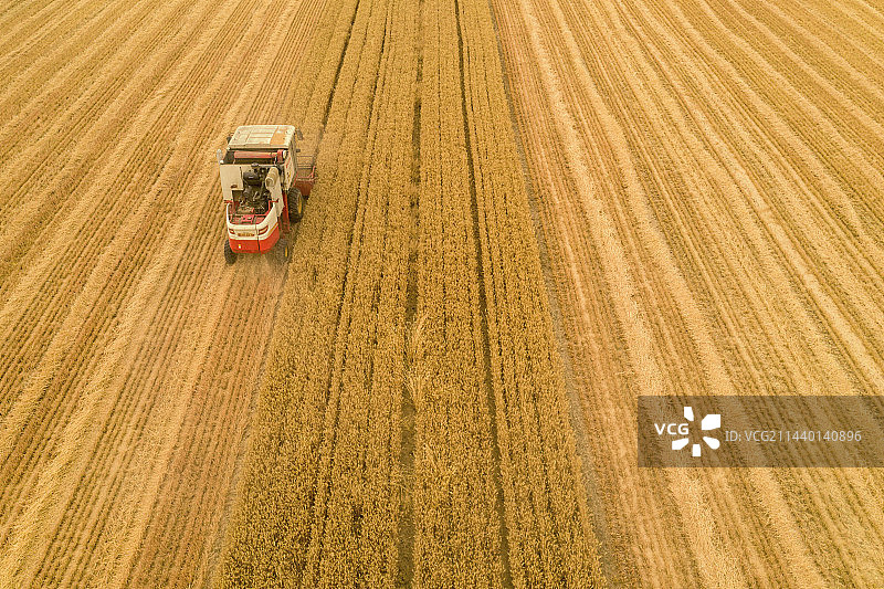 金色田园丰收在望图片素材