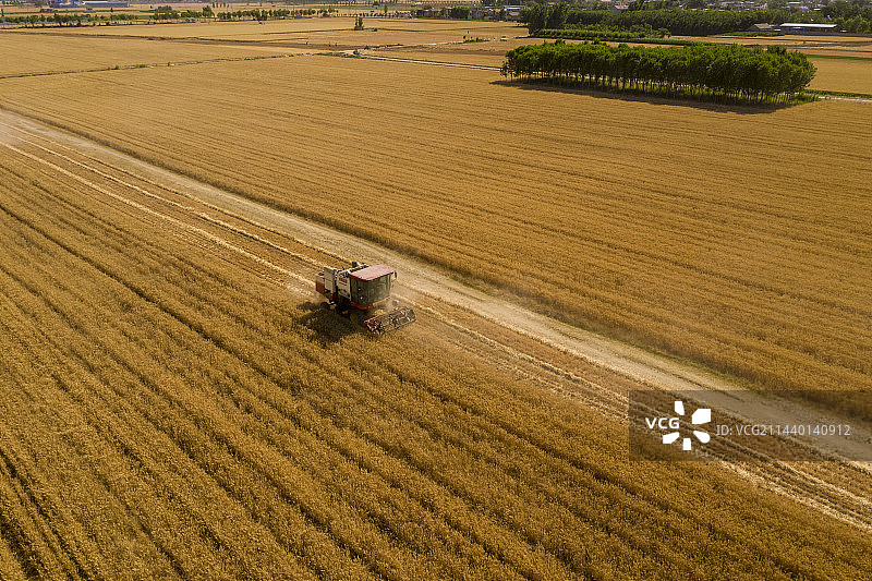 金色田园丰收在望图片素材