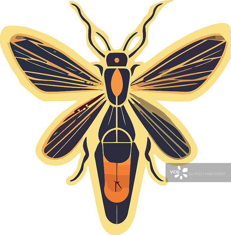 飞 insect 黄蜂图片素材
