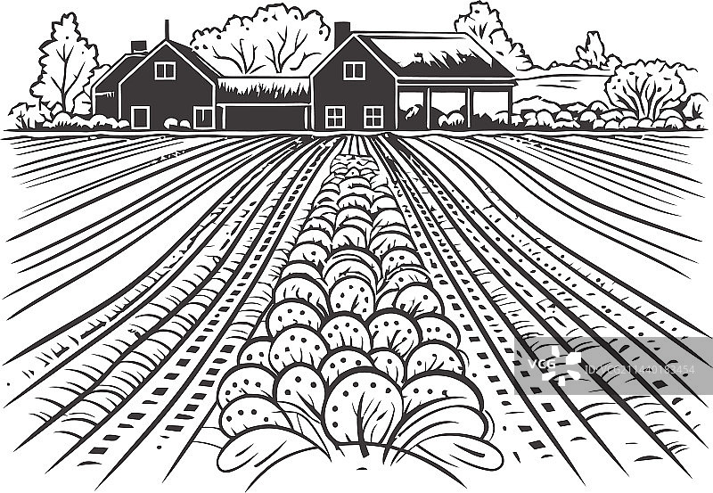 有机农场收获健康食品图片素材