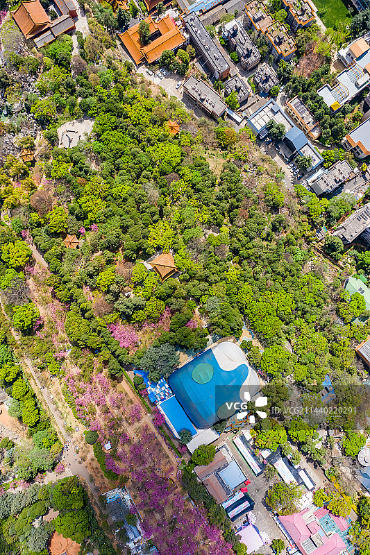 航拍云南昆明圆通山 昆明动物园 山林植被 园林绿化 花草树木 昆明圆通山动物园图片素材