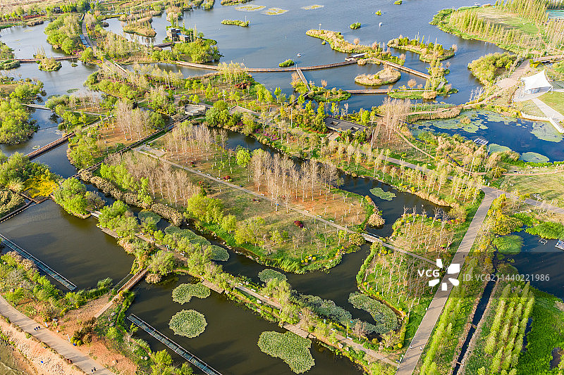 云南昆明斗南湿地公园 昆明滇池外海 呈贡区城市湿地生态美景图片素材