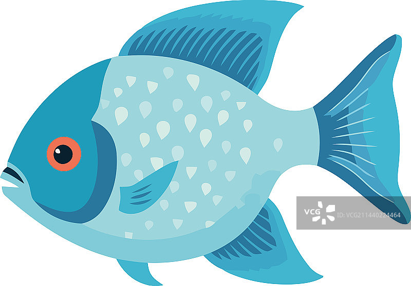 在蓝色热带水中游泳的可爱鱼图片素材