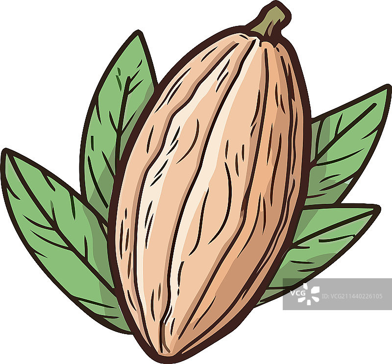 新鲜有机坚果零食图片素材