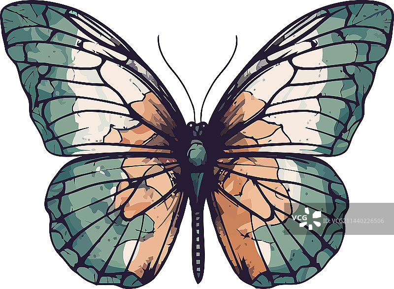 色彩鲜艳的蝴蝶图案图片素材