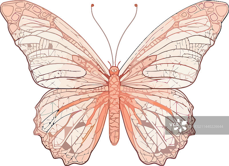 彩色抽象装饰中的蝴蝶图片素材