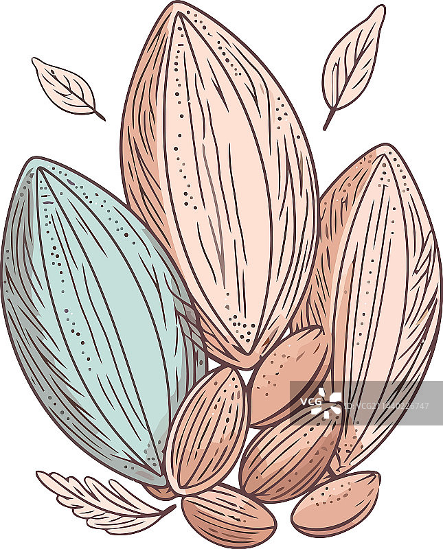 手绘杏仁和水果零食图片素材