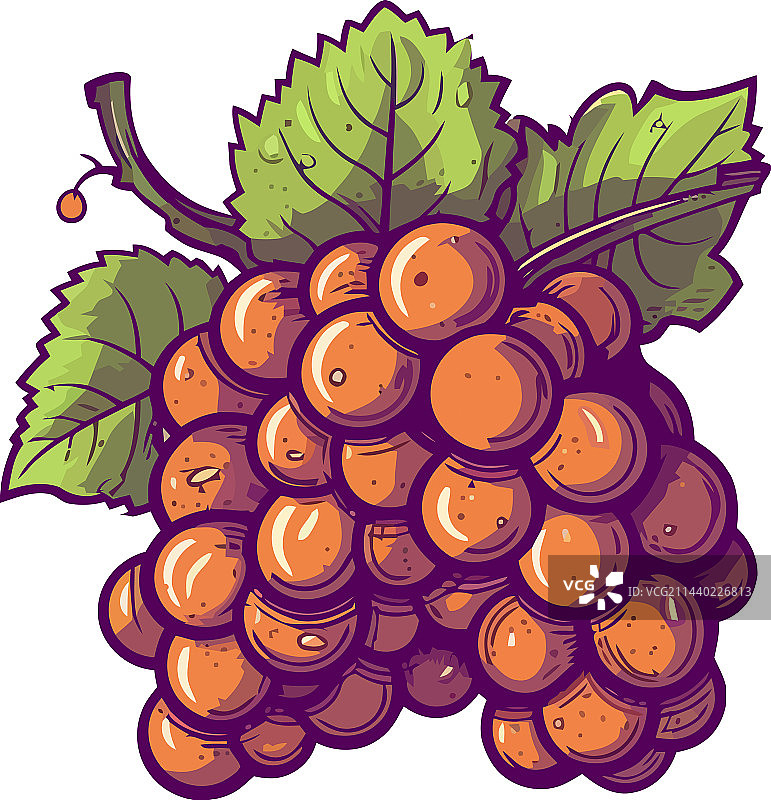 成熟的葡萄串，新鲜有机图片素材
