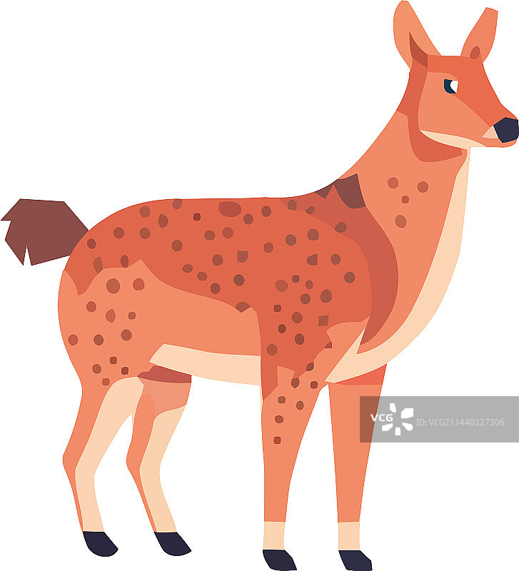 站在冬日雪地里的可爱小狗图片素材