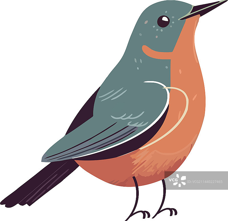 可爱的小鸟栖息图片素材