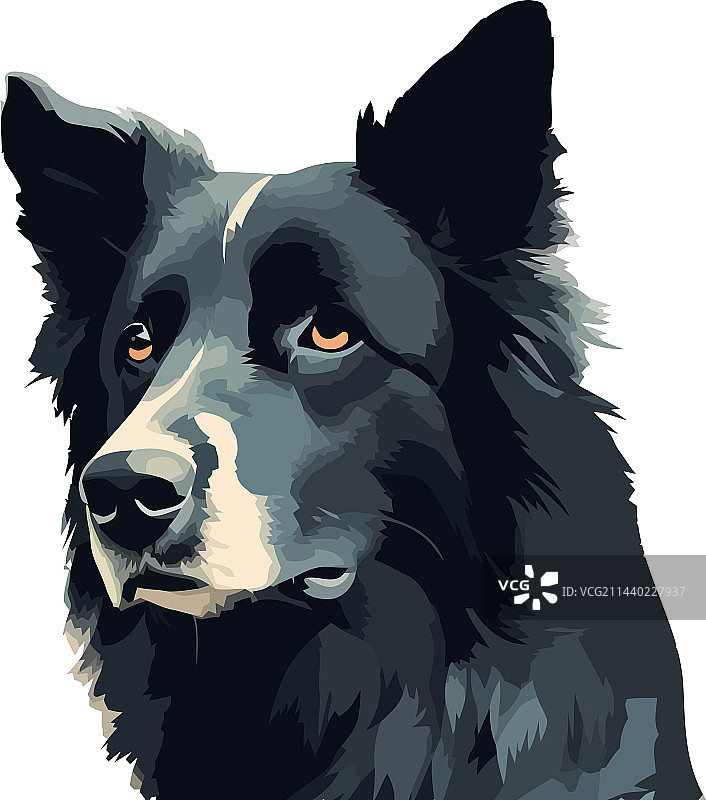 忠诚的德国牧羊犬图片素材