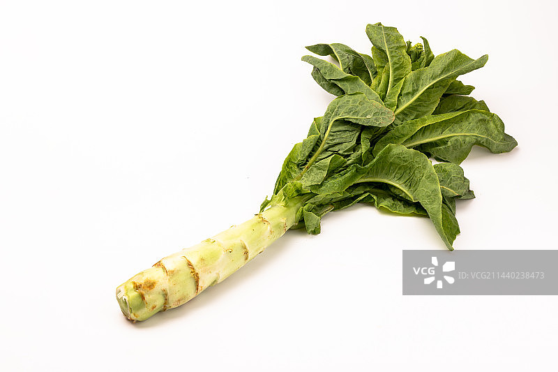 白背景上的莴苣图片素材