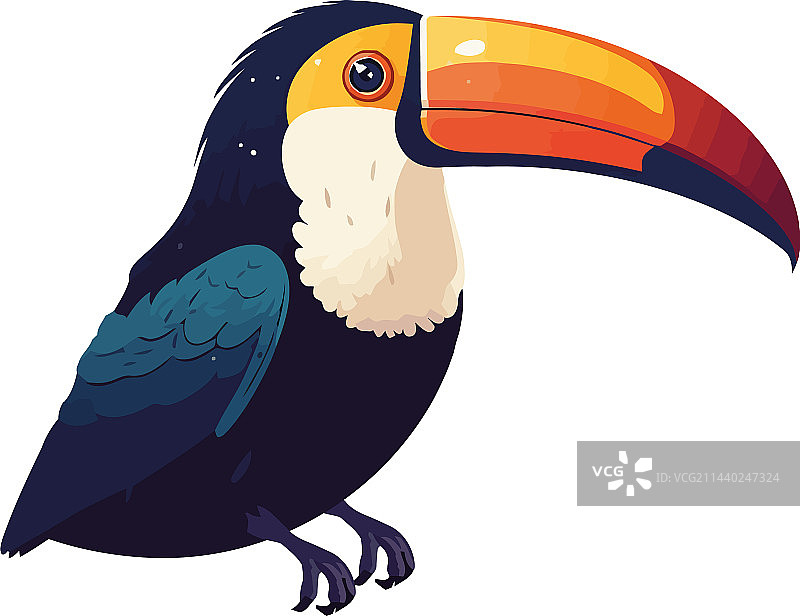 热带雨林中飞翔的大嘴鸟图片素材