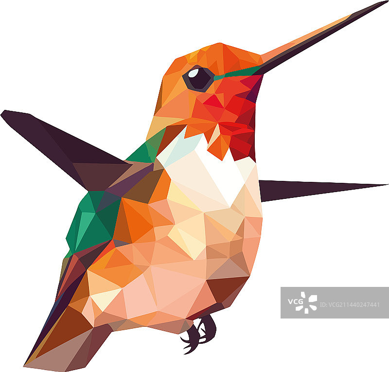 彩色羽毛蜂鸟图片素材