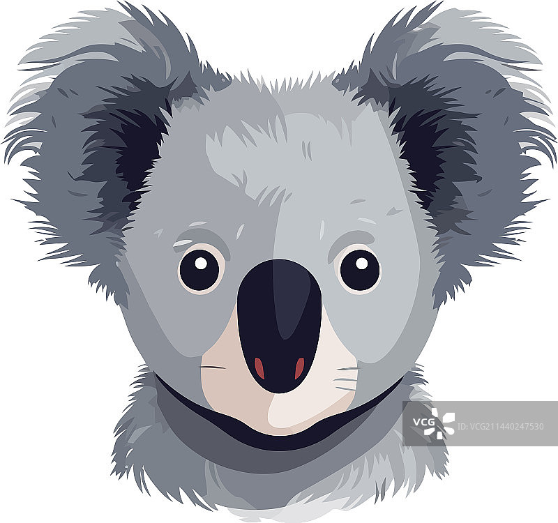 可爱的孤立考拉图片素材