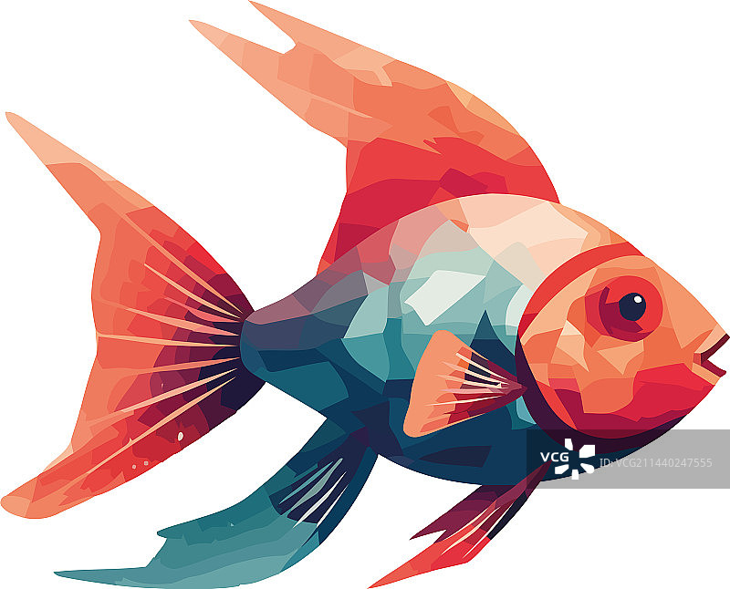 在热带珊瑚礁中游泳的彩色鱼图片素材