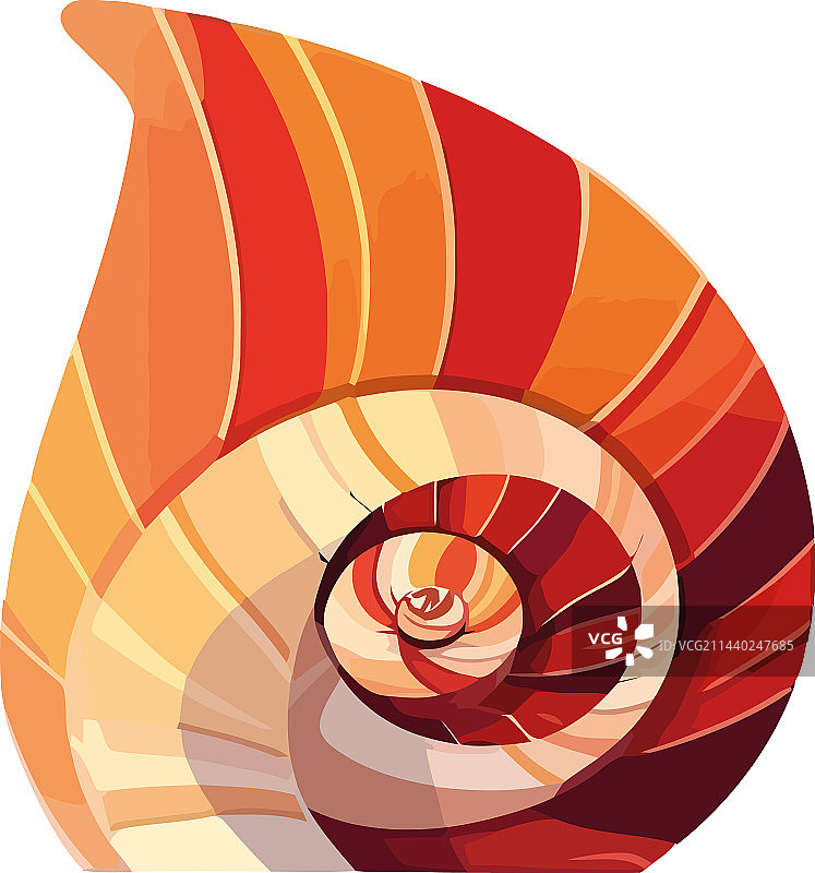 螺旋海螺与缓慢的蜗牛水生动物图片素材