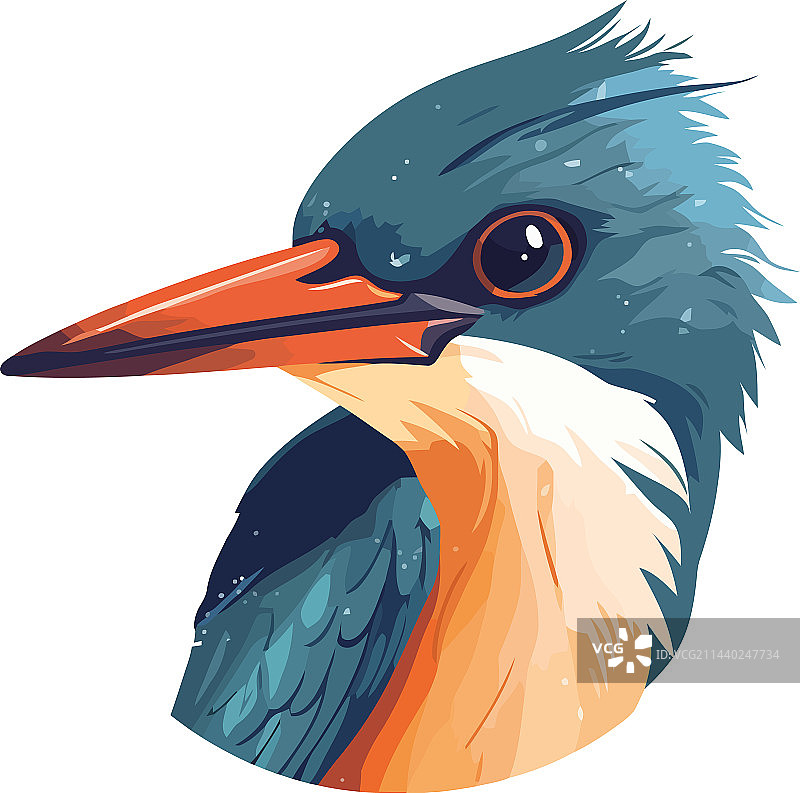 户外飞翔的彩色蓝喙鸟图片素材