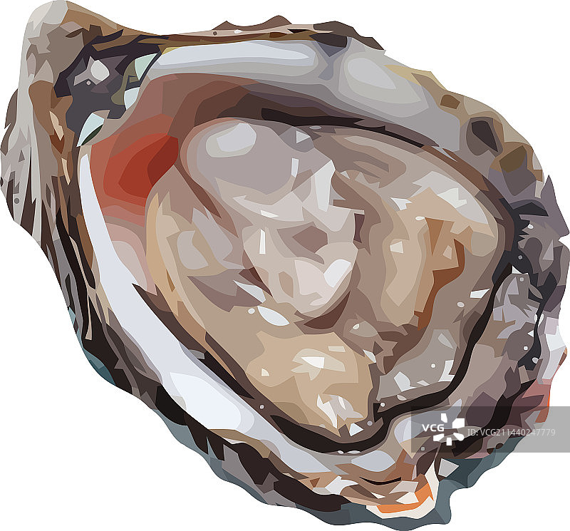 新鲜生蚝设计图片素材