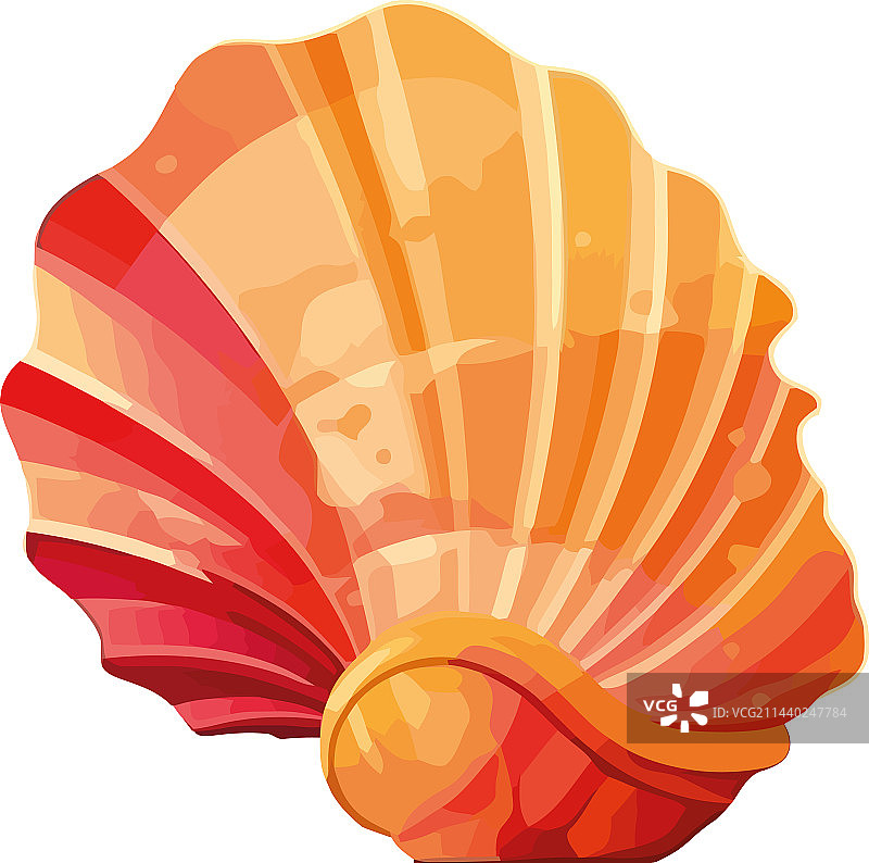 贝壳夏季纪念装饰设计图片素材