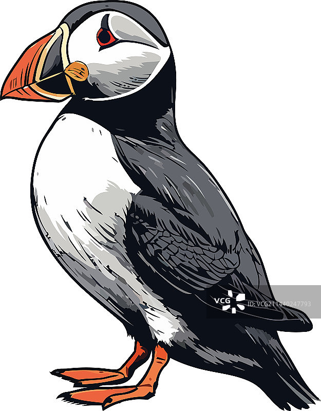 飞越热带景观的可爱渡渡鸟绘画图片素材