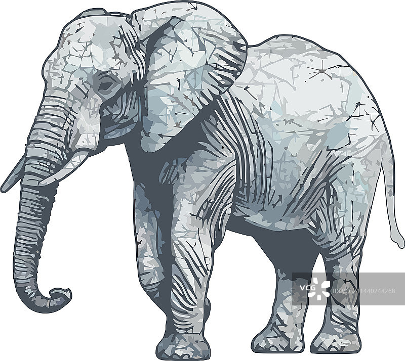 大型食草哺乳动物图片素材