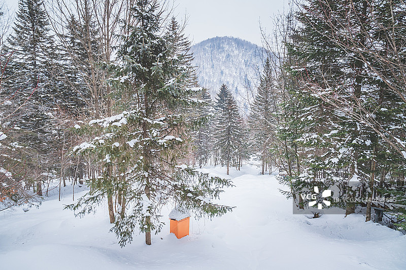 黑龙江雪乡冬季风光航拍图片素材