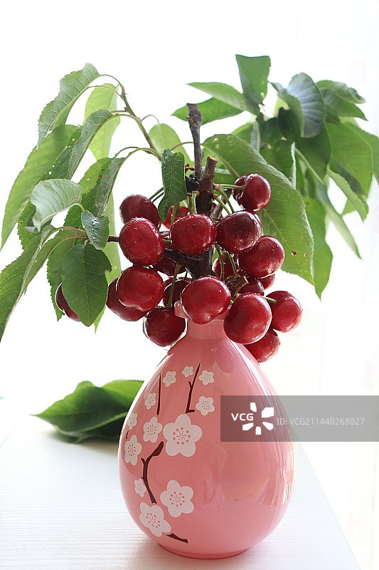 白色背景下枝头樱桃水果特写镜头图片素材