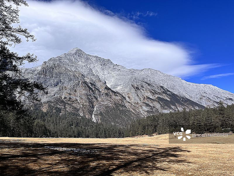 玉龙雪山云杉坪图片素材