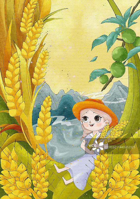 芒种节气肌理插画图片素材