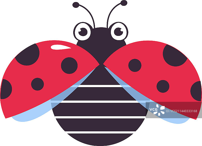 可爱飞行瓢虫趣味小瓢虫昆虫图片素材