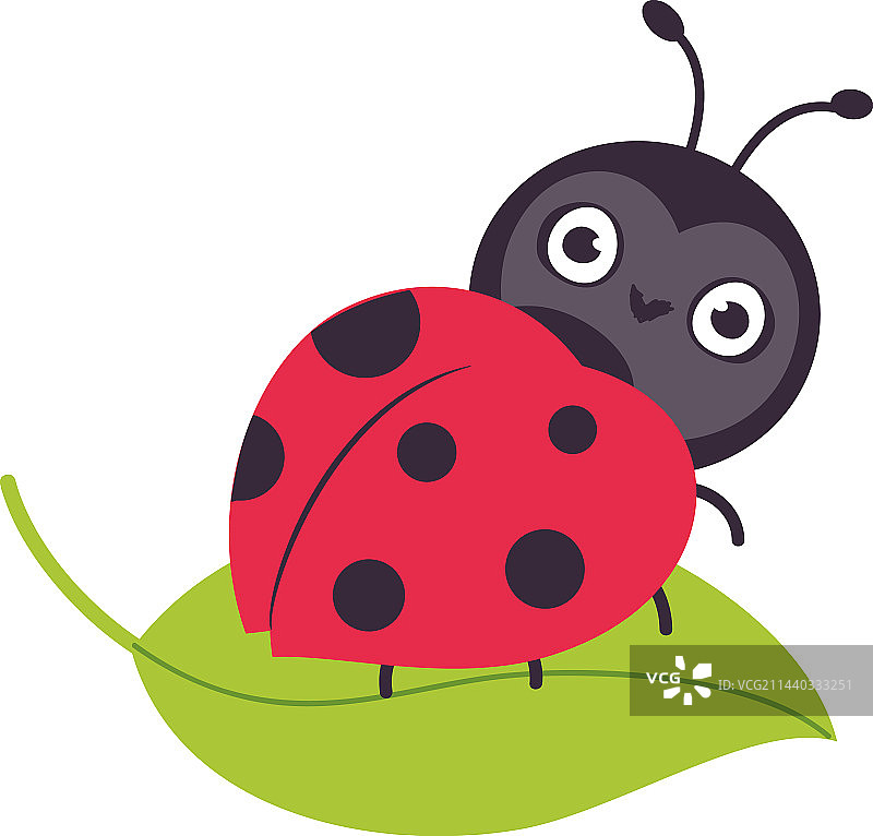 卡通叶子上的可爱小瓢虫图片素材