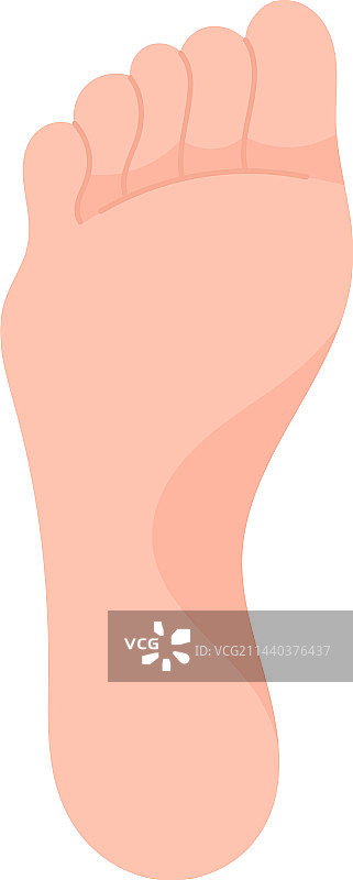 健康的人足图片素材