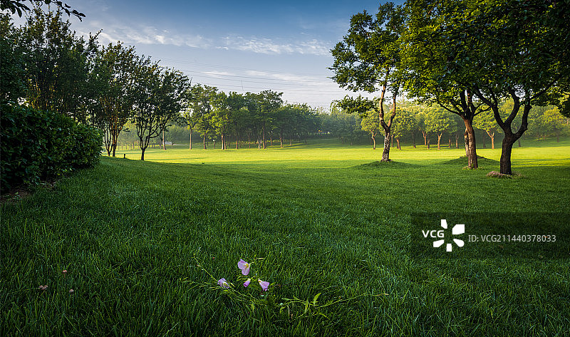 郑州双河公园图片素材