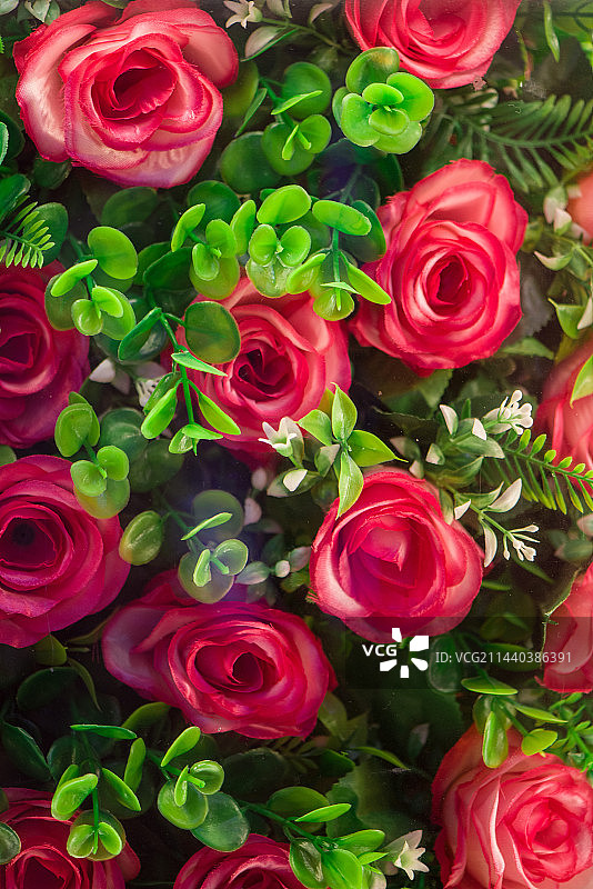 红玫瑰花背景图片素材