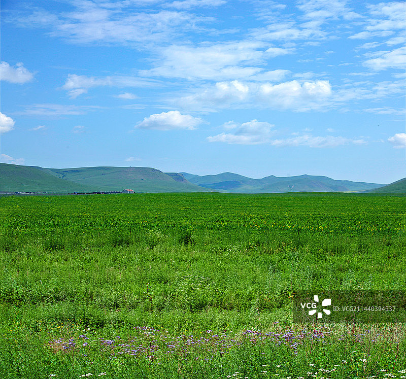 内蒙古科尔沁右翼前旗草原图片素材