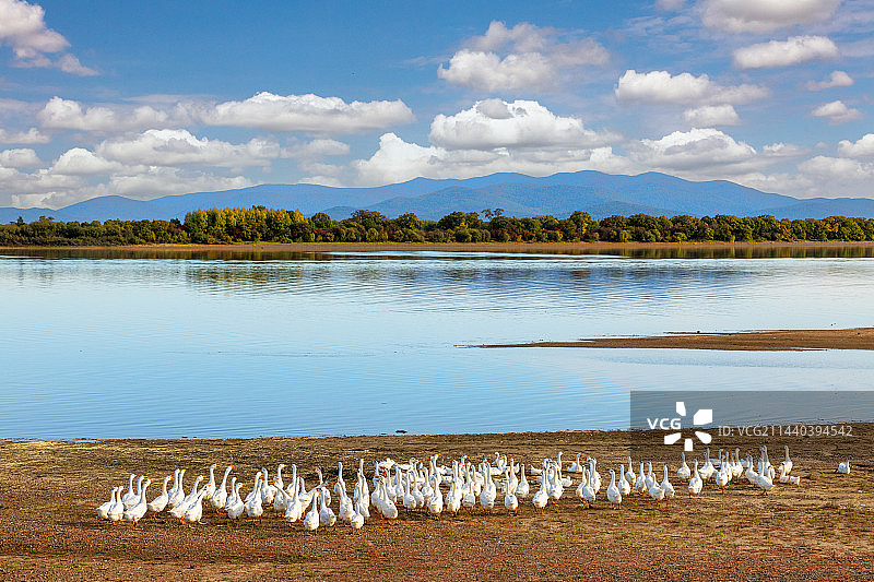 乌苏里江秋天风景图片素材