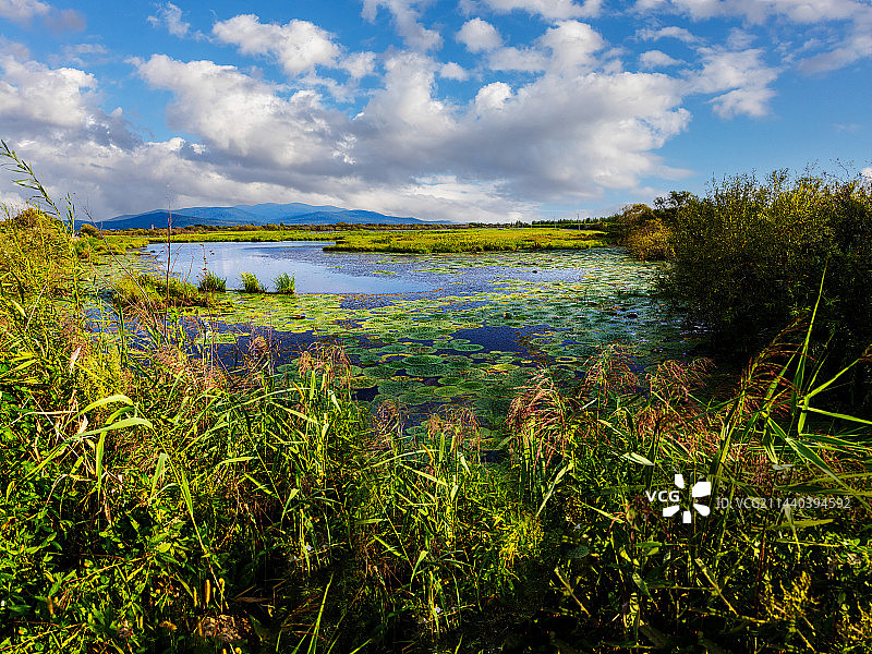 乌苏里江秋天风景图片素材